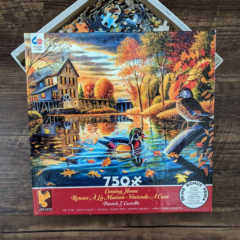 Ceaco 750 Pieces Puzzle